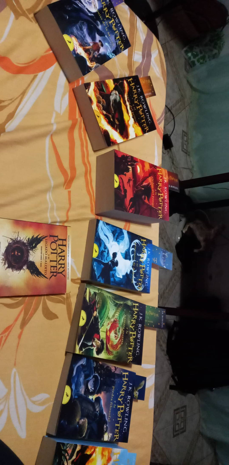 HARRY POTTER- SAGA COMPLETA (8)